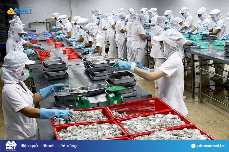 phần mềm mkt